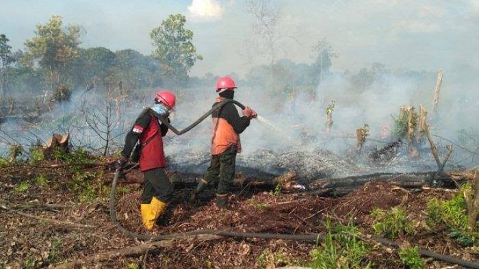 Ilustrasi petugas sedang memadamkan lahan yang terbakar (foto/int)